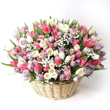 Magnificent Tulips, 201 Tulips, Mix Color Tulips, Large Handle Basket